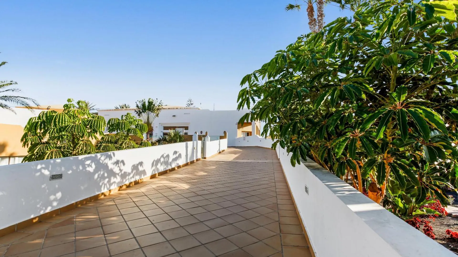 Apartamento Papagayo Corralejo