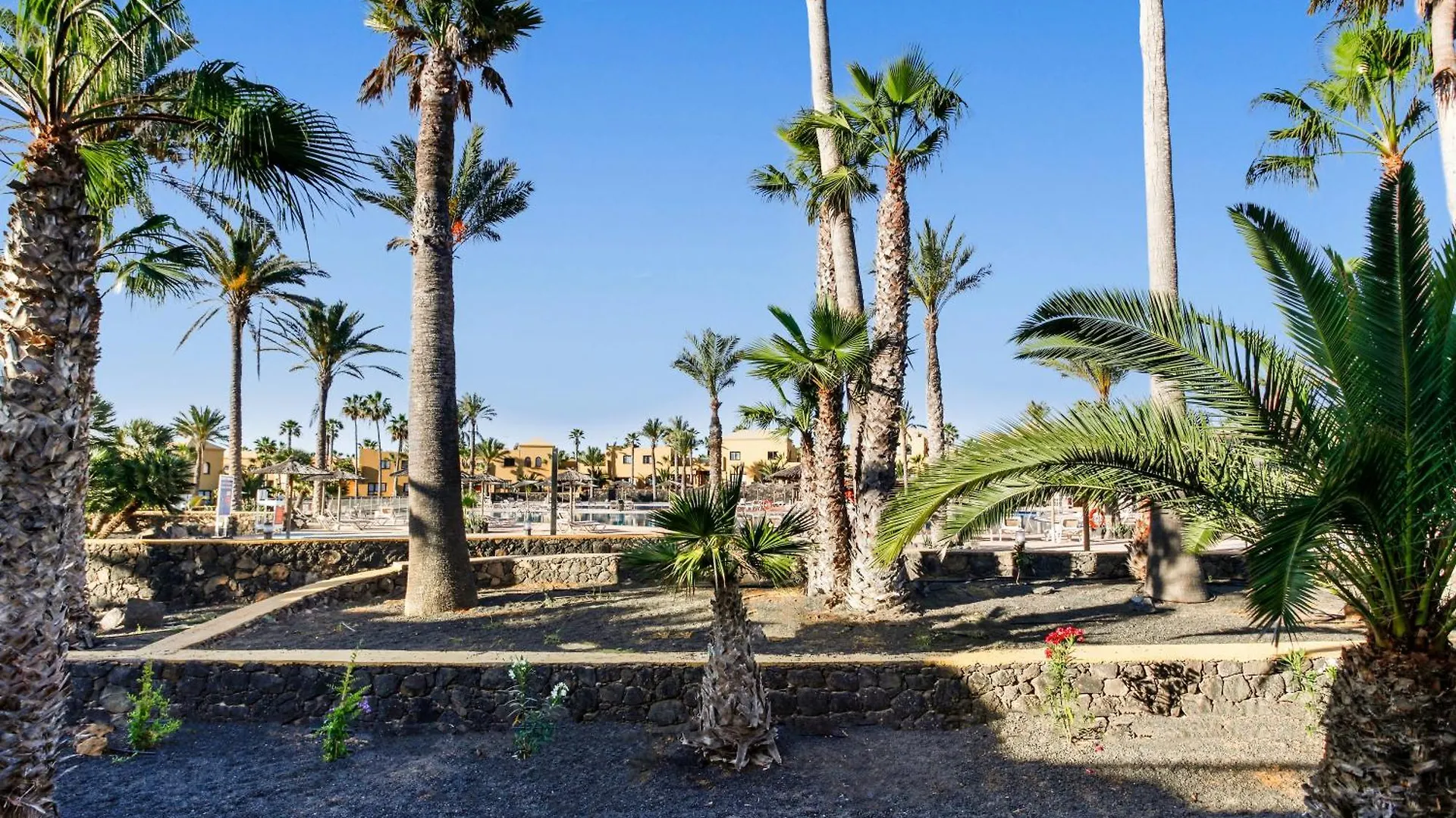 Apartamento Papagayo Corralejo